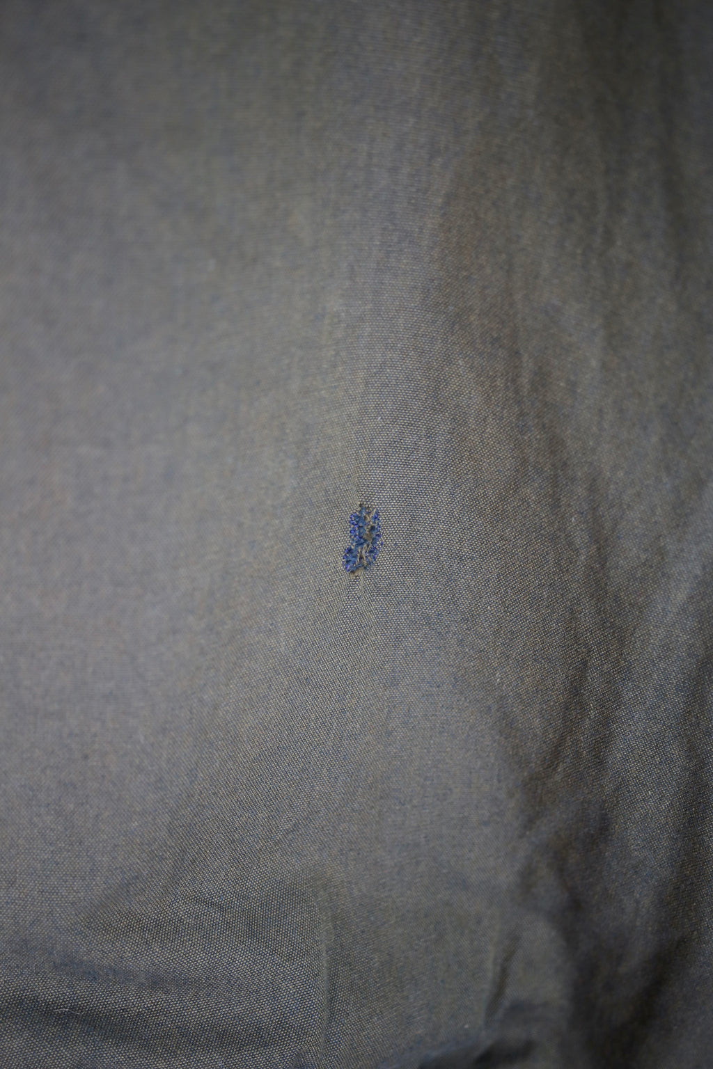 [L.L.Bean]] Leather Collar Jacket